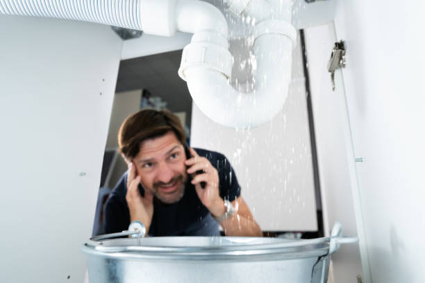 Best Toilet Repair Services  in Williamstown, WV